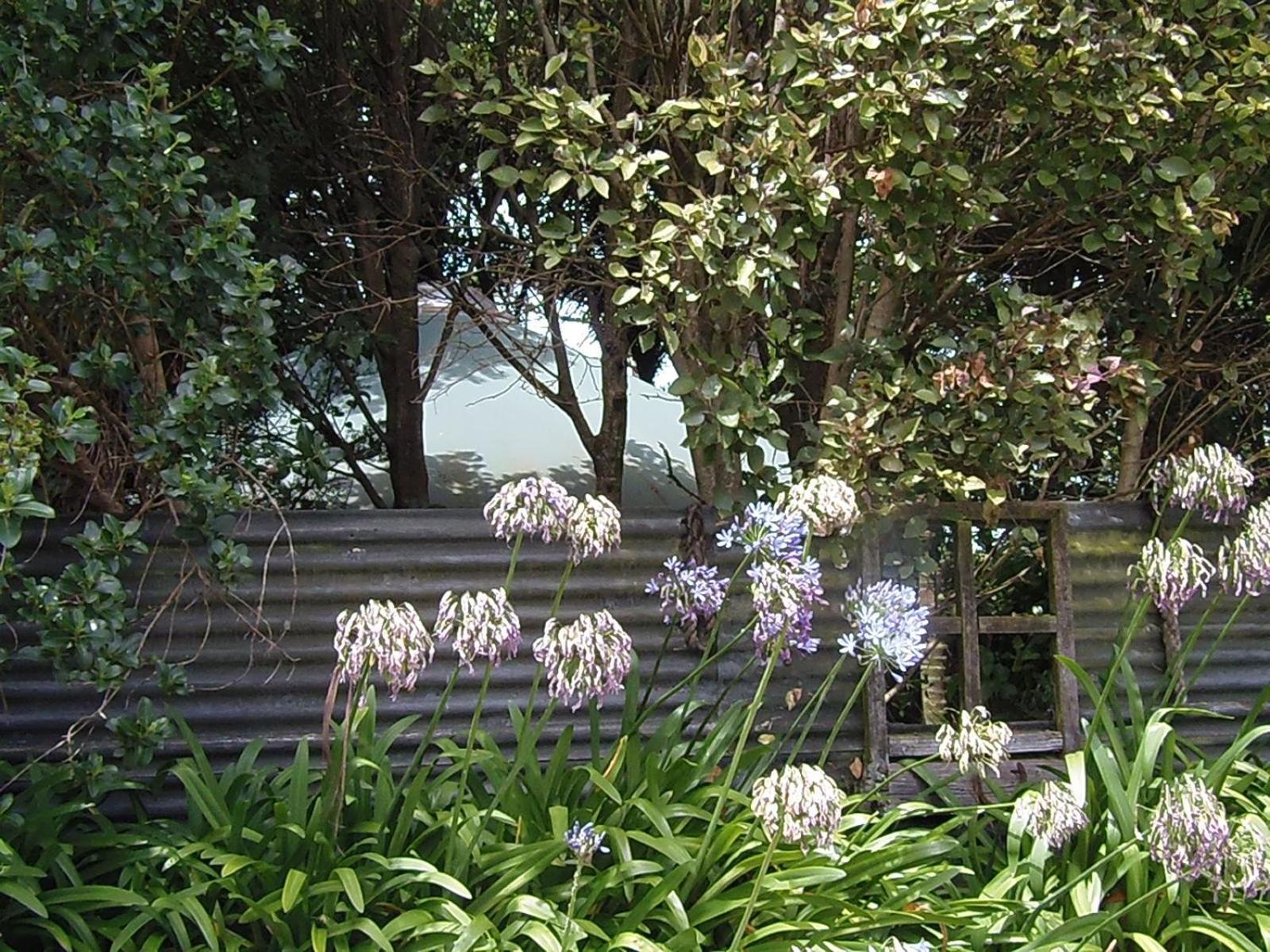 Hotel Nikau Sanctuary Raglan Zewnętrze zdjęcie