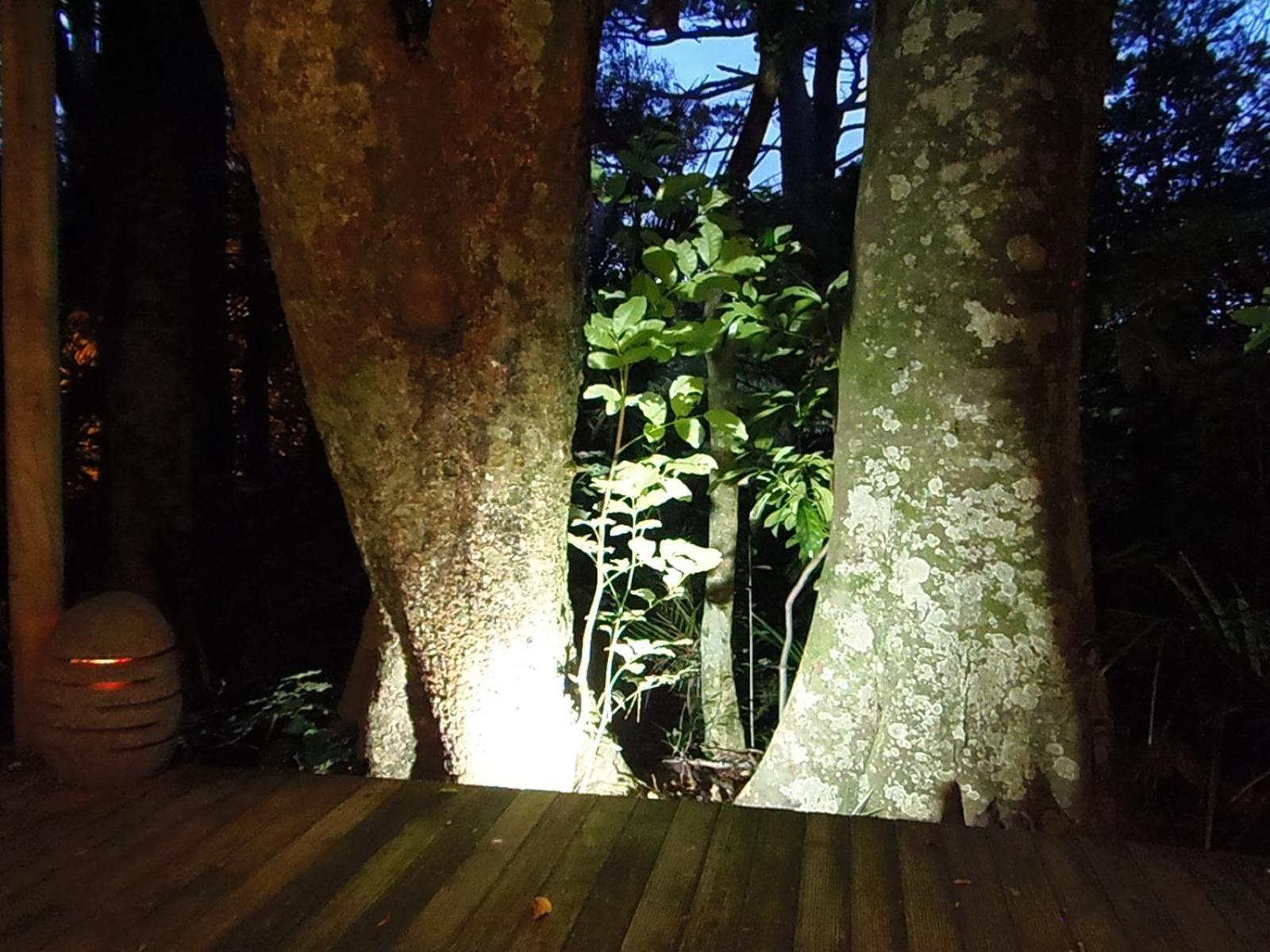 Hotel Nikau Sanctuary Raglan Zewnętrze zdjęcie